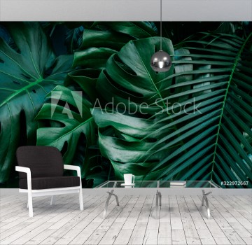 Picture of Monstera green leaves or Monstera Deliciosa in dark tones background or green leafy tropical pine forest patterns for creative design elements Philodendron monstera textures